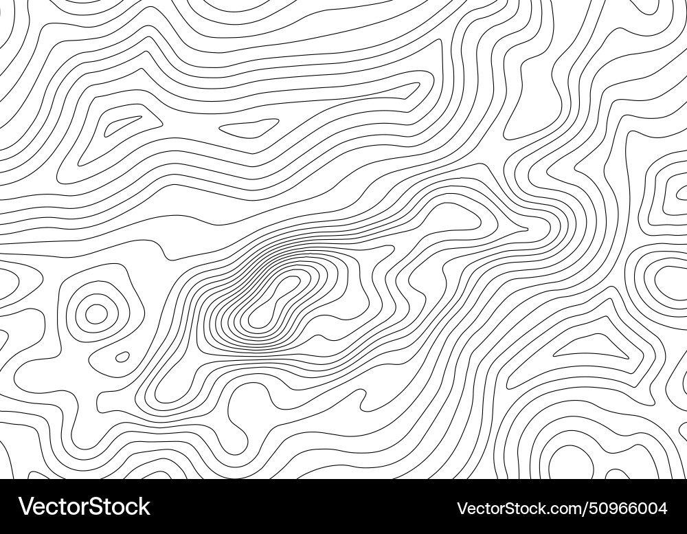 Seamless topographic map background line vector image