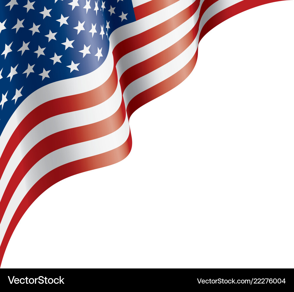 USA Flag on White Background vector image