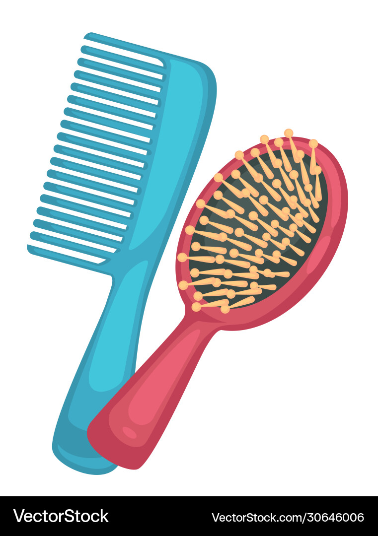 Hair combs hairbrush for professional care Hair combs hairbrush for professional care vector image