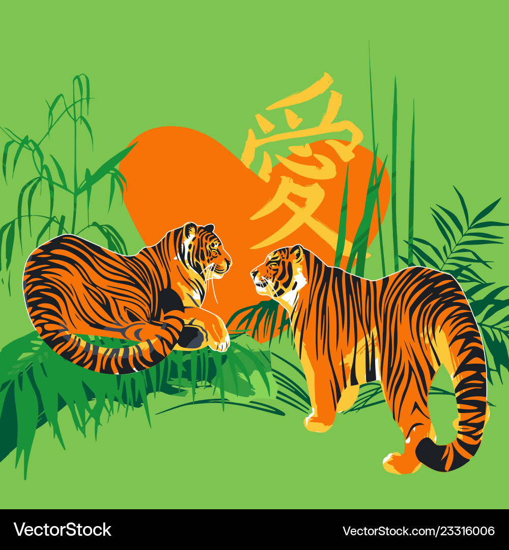 Two tigers in love looking at each other Two tigers in love looking at each other vector image
