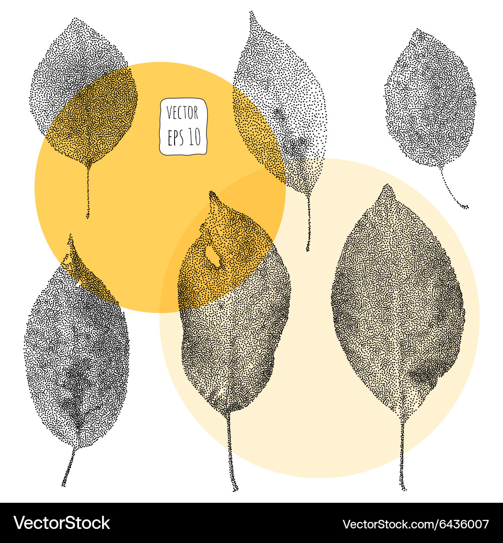 Botanical Leaf Pattern Vector Image