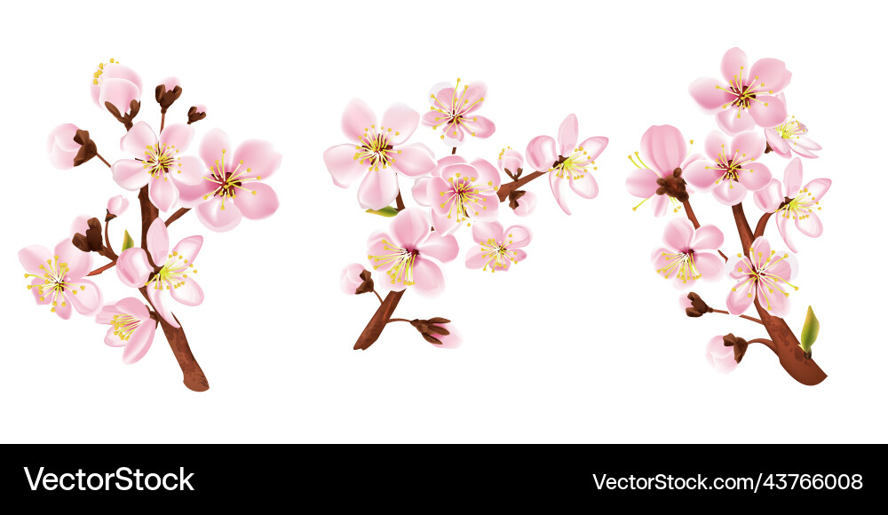 Fruit branch set Fruit branch set vector image