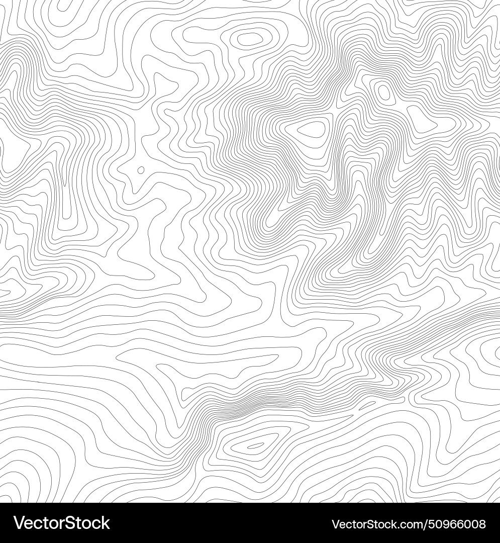Seamless topographic map background line Seamless topographic map background line vector image