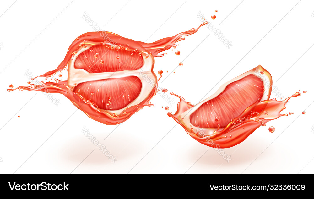 Grapefruit Juice Splash Set vector image
