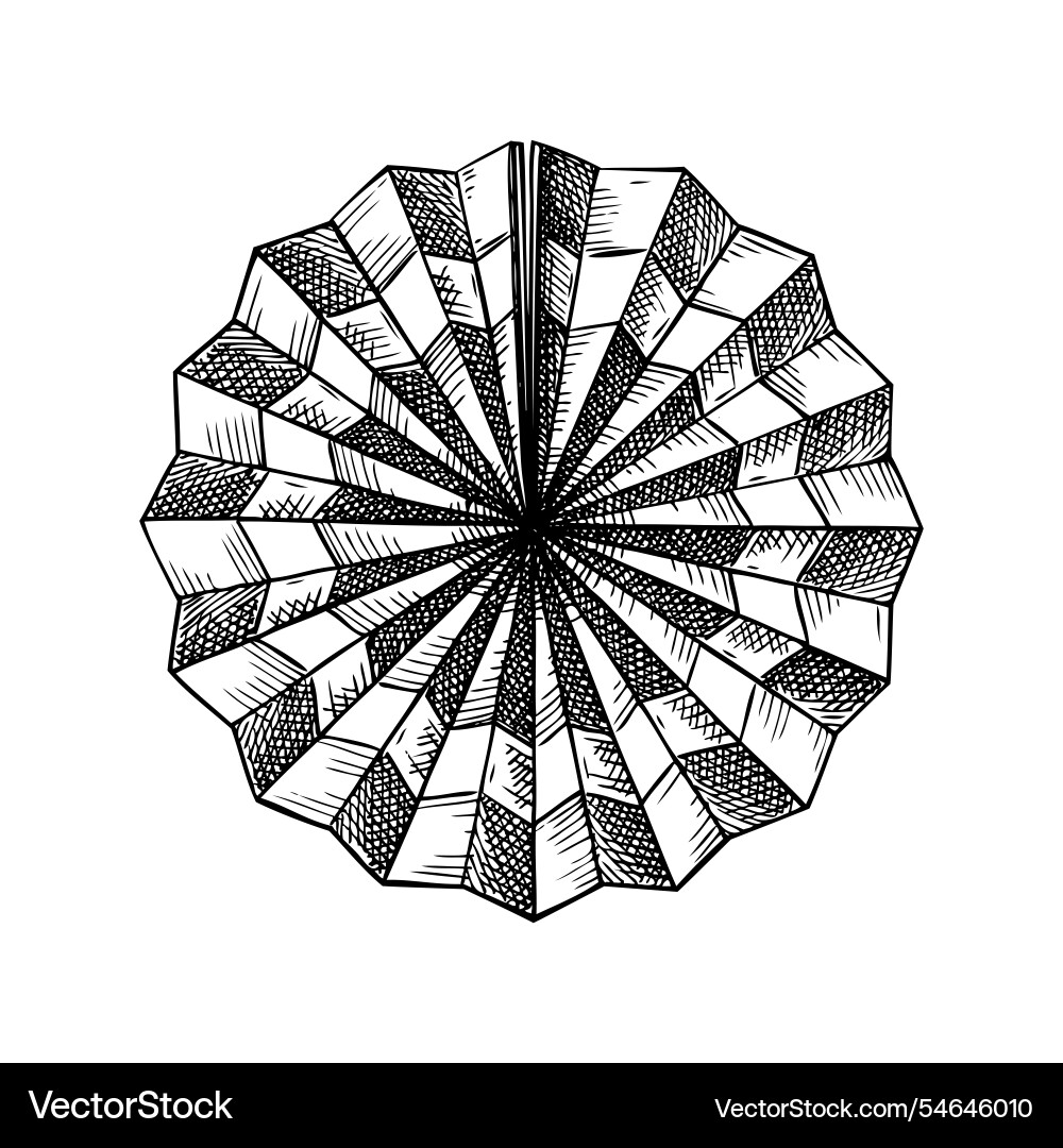 Chinese new year decoration traditional folding Chinese new year decoration traditional folding vector image