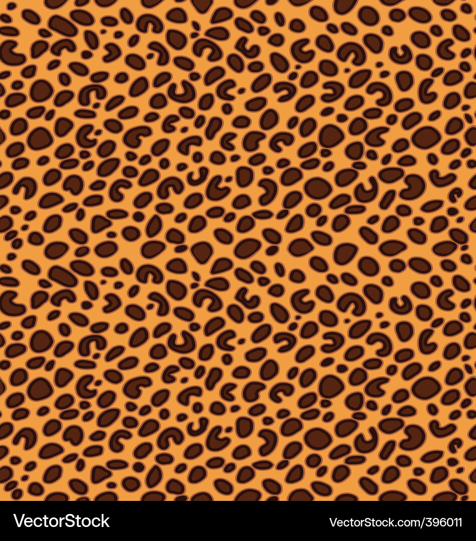 Leopard pattern vector image