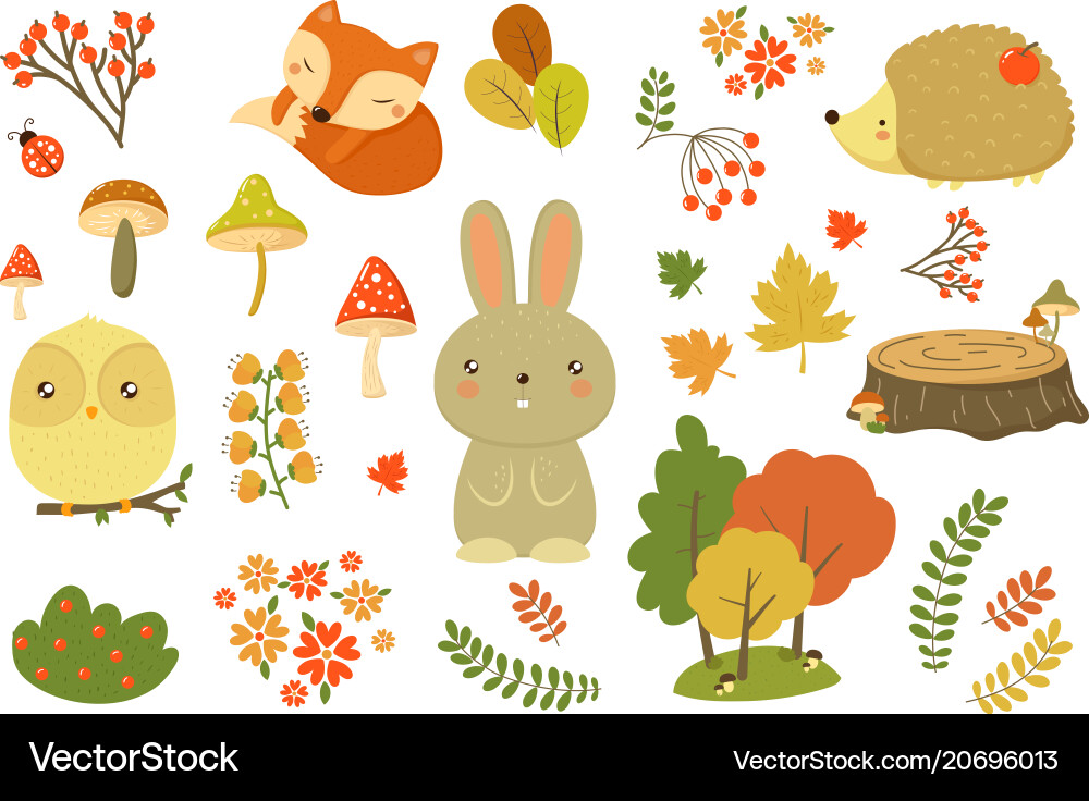 Autumn forest elements set animals leaves Autumn forest elements set animals leaves vector image
