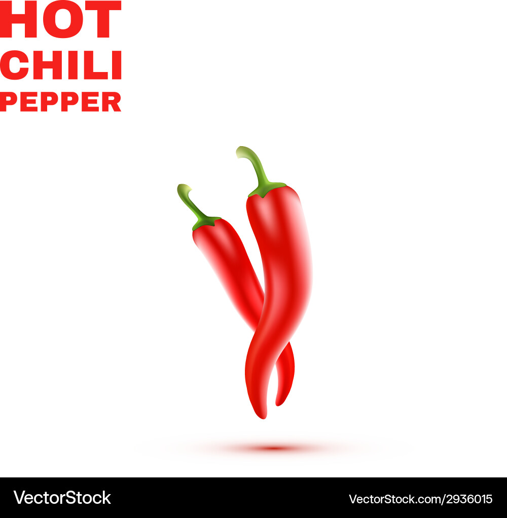 Isolated Chili Peppers Vector Image