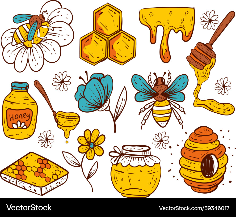 Honeybee & Honeycomb Sketch Set Vector Image