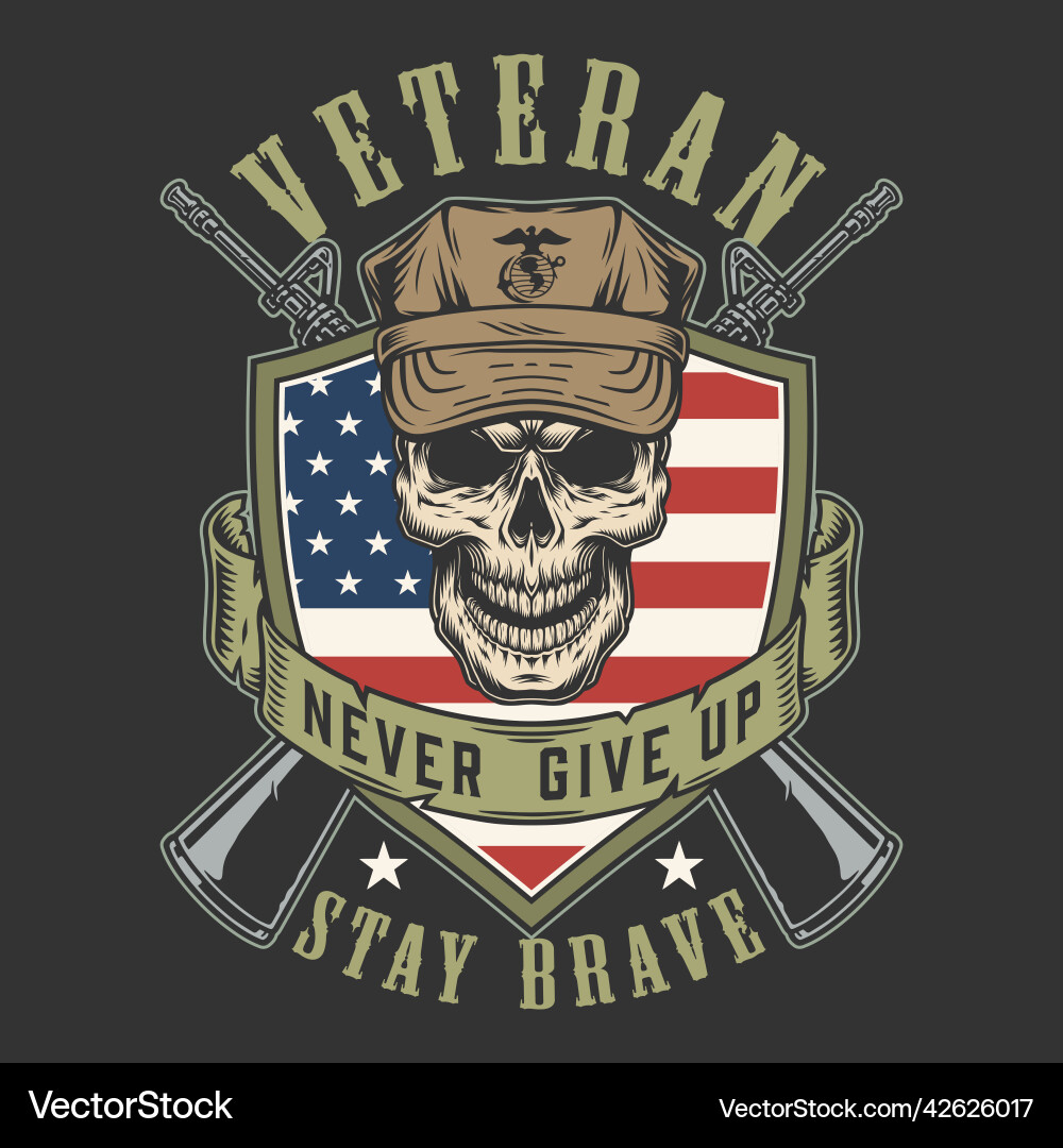 Military skull colorful vintage poster Military skull colorful vintage poster vector image