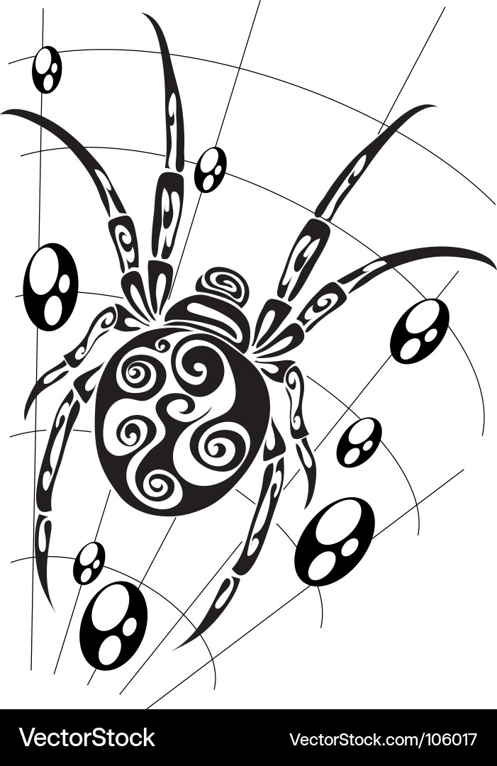 Spider Web Pattern vector image