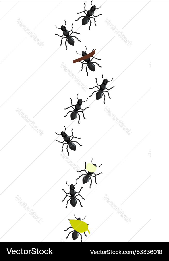 Colony of ants carrying different objects working Colony of ants carrying different objects working Vector Image
