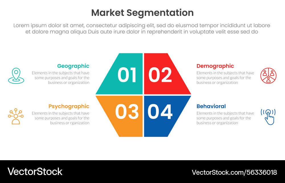 Market segmentation framework analysis Vector Image