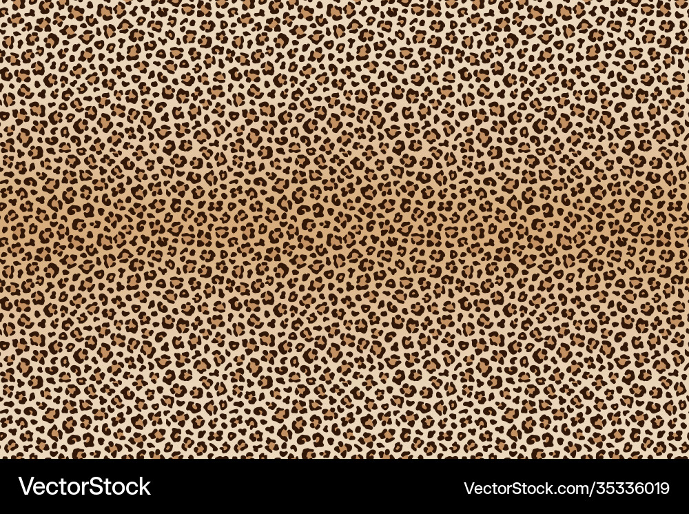 Background animal leopard texture Royalty Free Vector Image