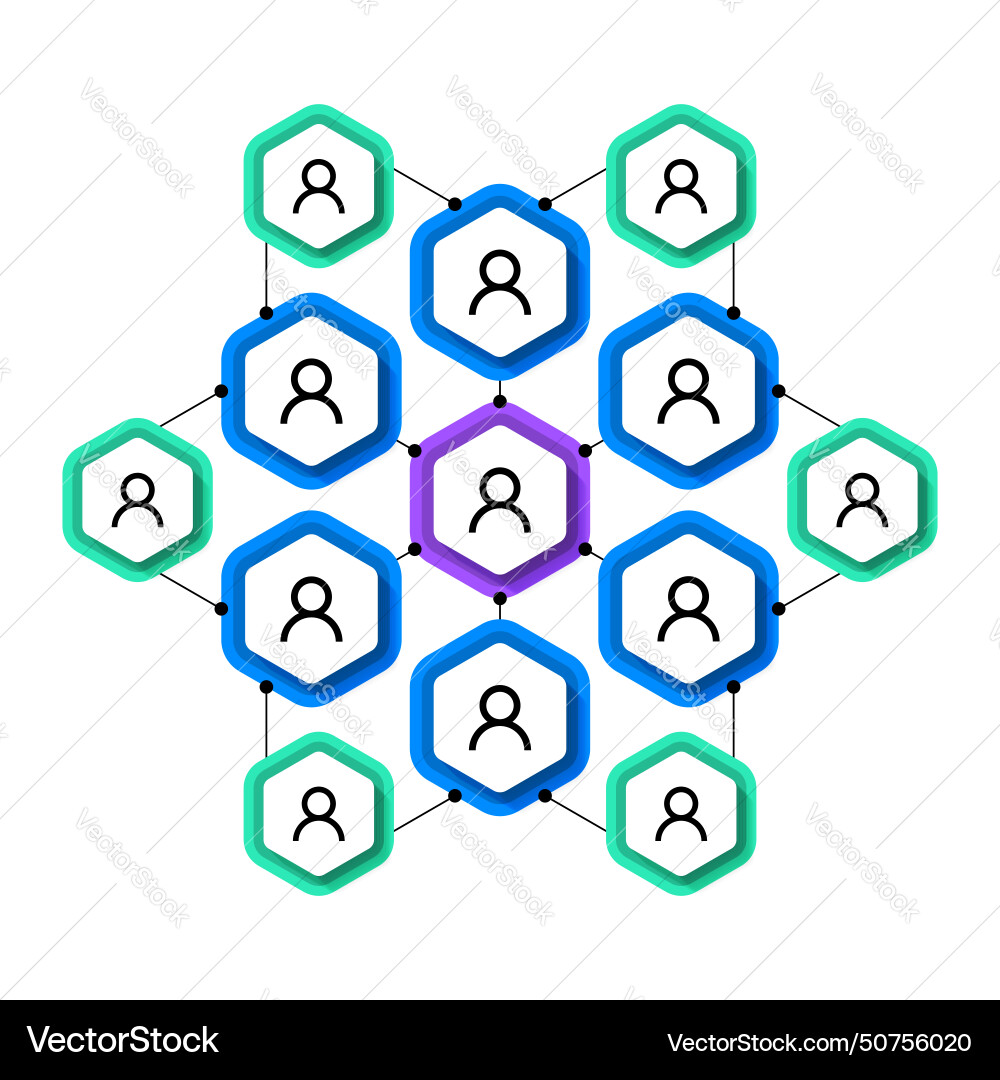 Infographic template circular hierarchy Royalty Free Vector