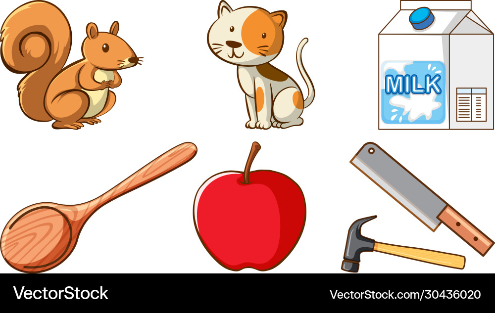 Large set different animals and other objects Large set different animals and other objects vector image