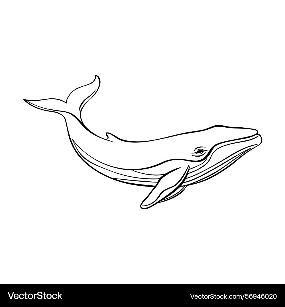 Outline while icon realistic sketch minimal Outline while icon realistic sketch minimal vector image
