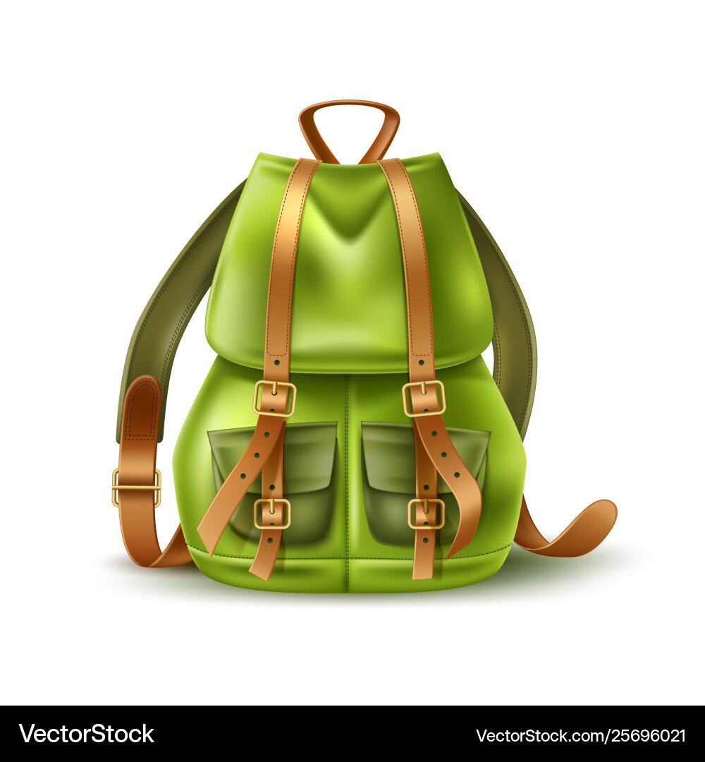 Realistic tourist backpack leather straps Realistic tourist backpack leather straps vector image