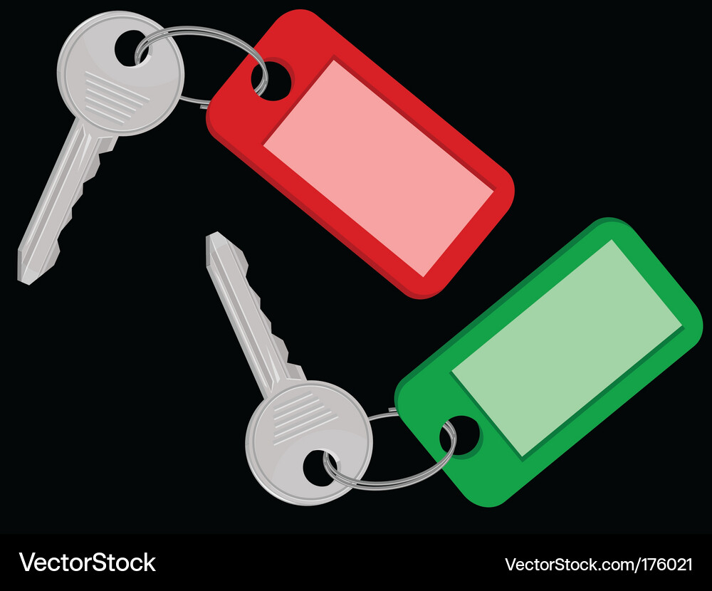 Room keys Vector Image