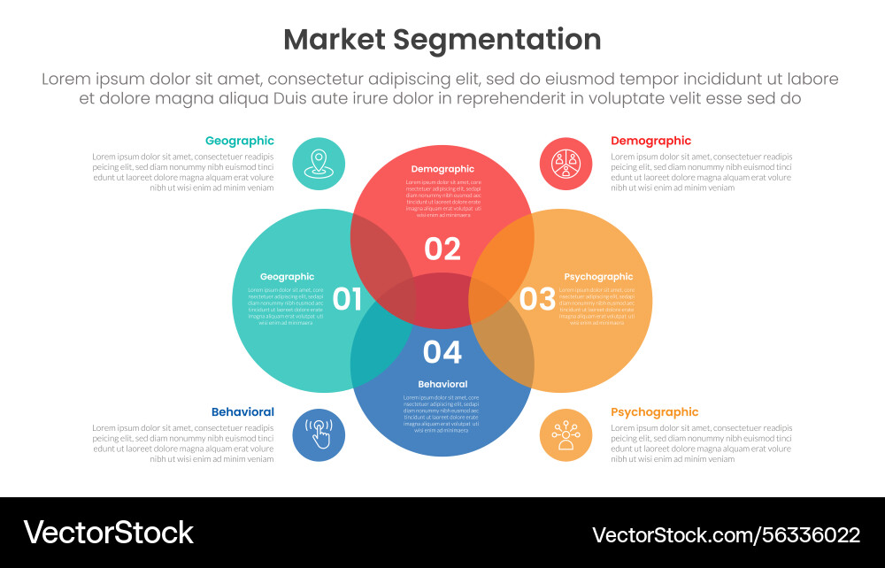 Market segmentation framework analysis Vector Image