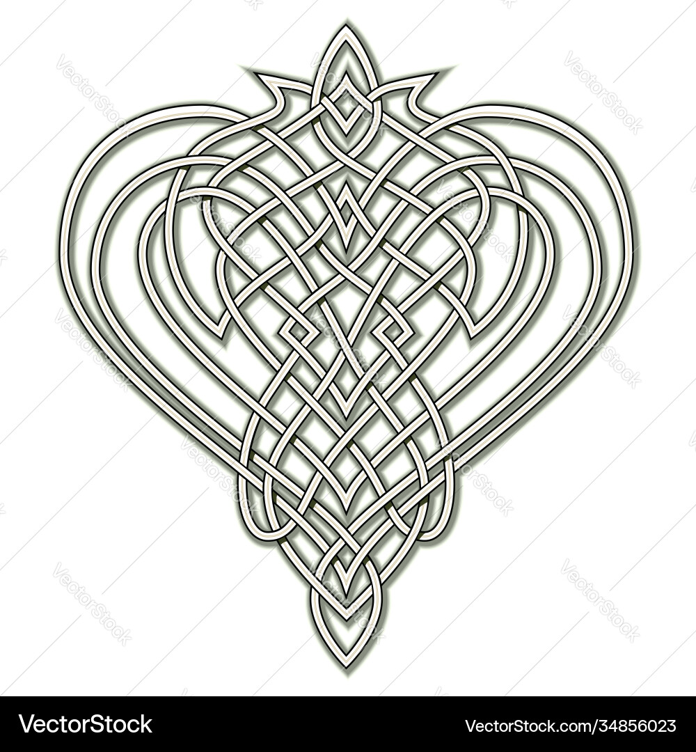 Fantasy drawing celtic popular ornament vector image