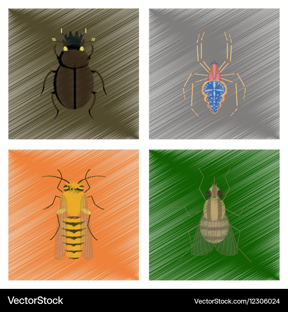 Bug Vector Layers Assembly flat shading style bug – Free Vector | VectorStock