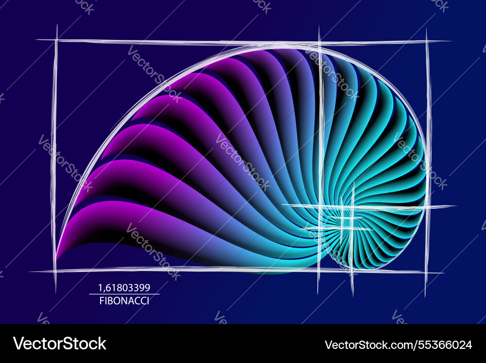 Fibonacci sequence golden ratio geometric shapes Vector Image