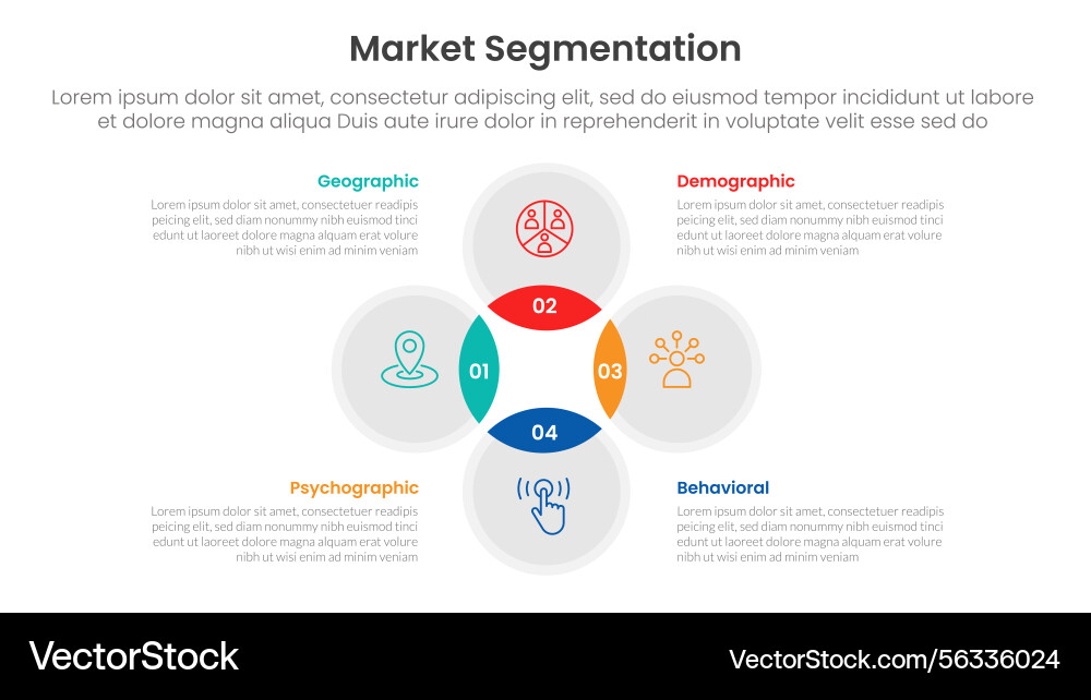 Market segmentation framework analysis Vector Image
