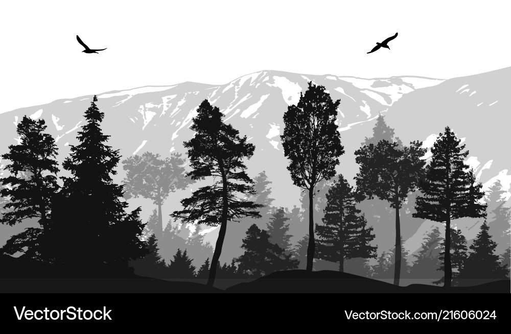 Pine Forest Landscape Royalty Free Vector Image