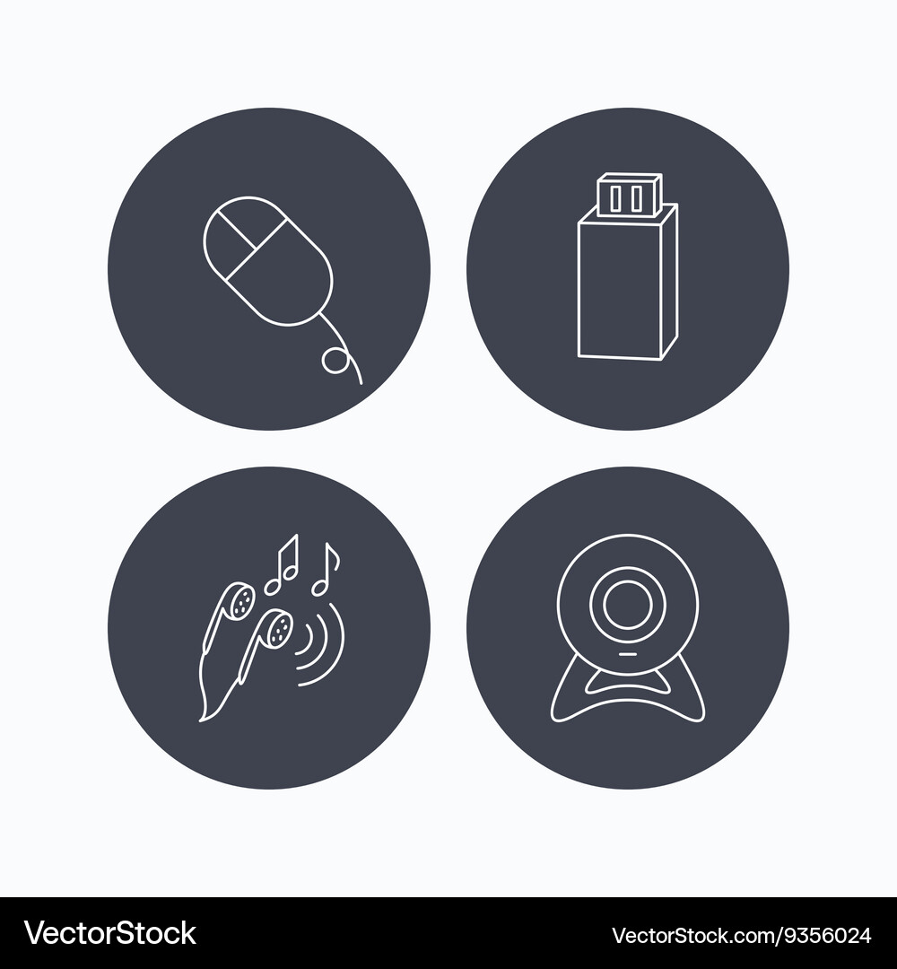 Web camera usb flash and pc mouse Vector Image