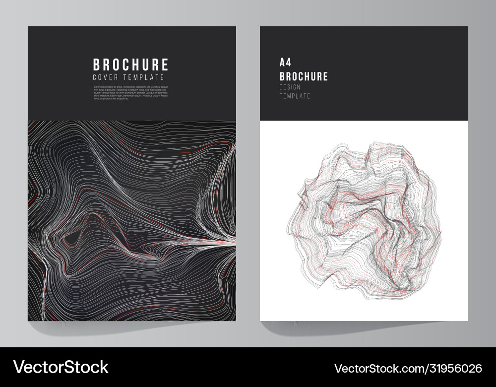 Layout a4 format modern Layout a4 format modern Vector Image