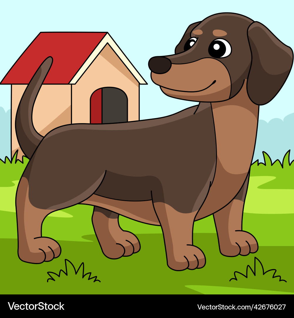 Dachshund Hund farbige Karikatur Dachshund Hund farbige Karikatur vektorbild