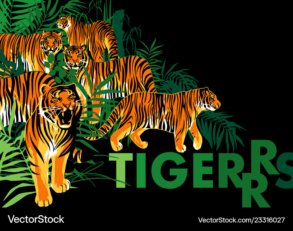Grafische Gestaltung mit Tigern stehen Grafische Gestaltung mit Tigern stehen vektorbild