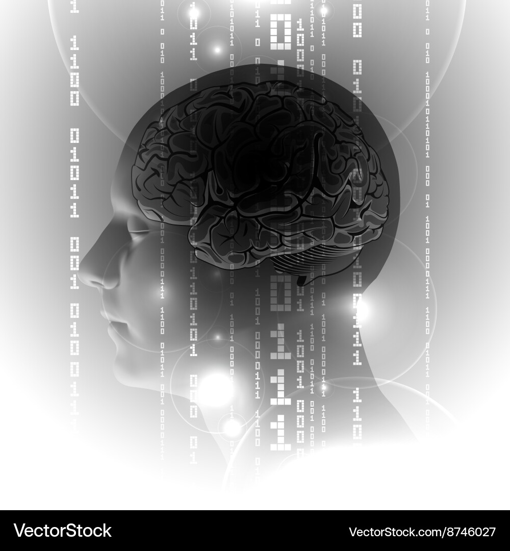 Human Brain with Binary Code vector image