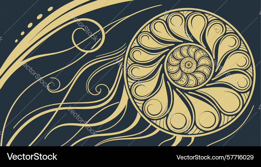 Abstract spiraling shell pattern organic fluid vector image
