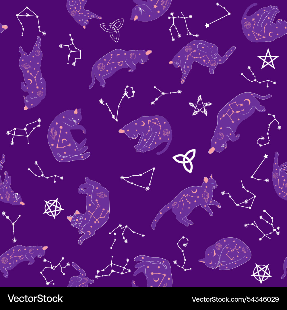 Mystical seamless pattern of cats in boho style Vector Image