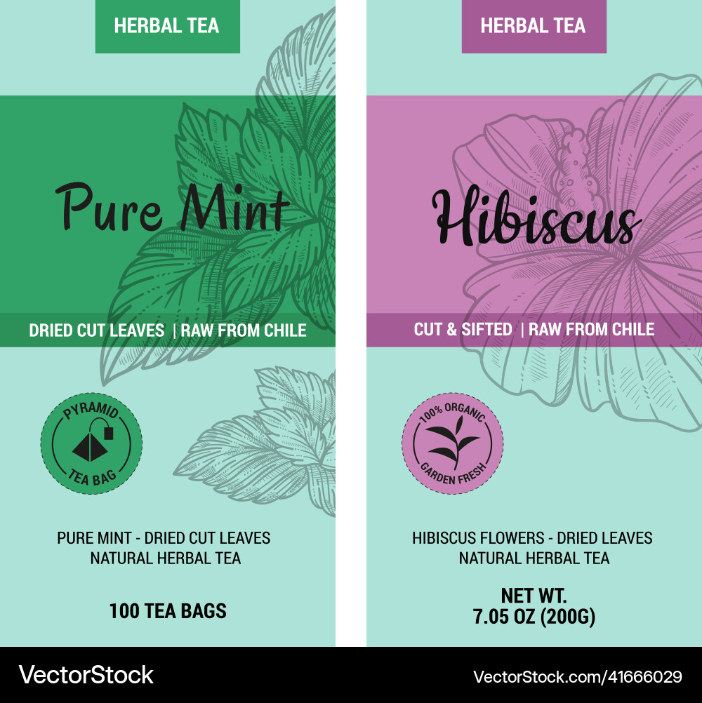 Reine Minze und Hibiscus Tee getrocknete Schnittblätter Reine Minze und Hibiscus Tee getrocknete Schnittblätter vektorbild