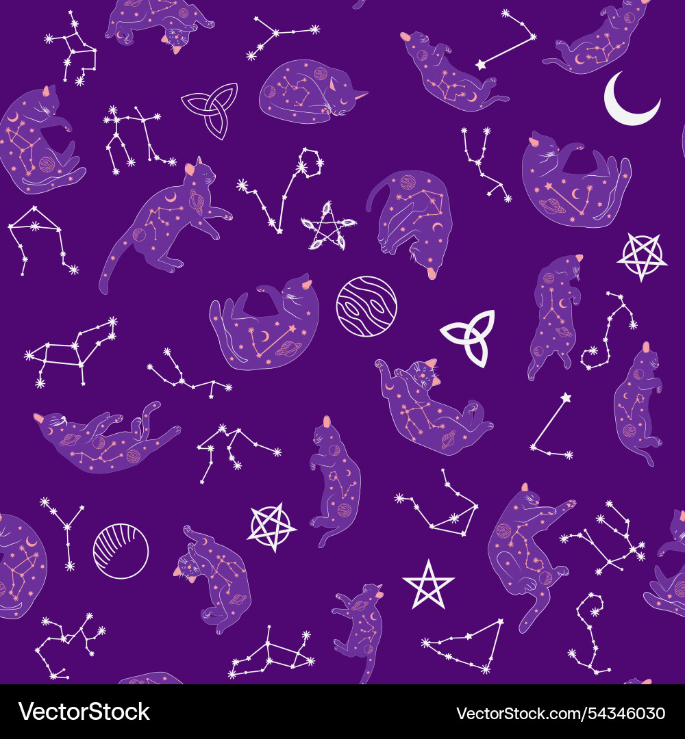 Mystical seamless pattern of cats in boho style Vector Image