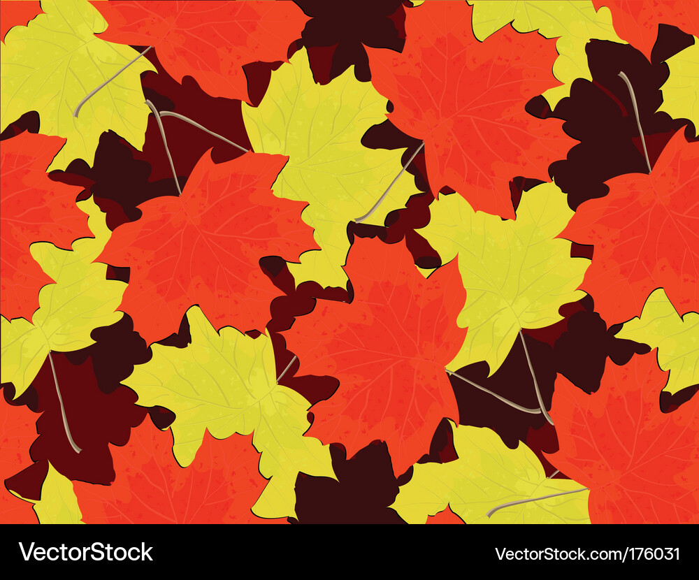 Seamless pattern Vector Image