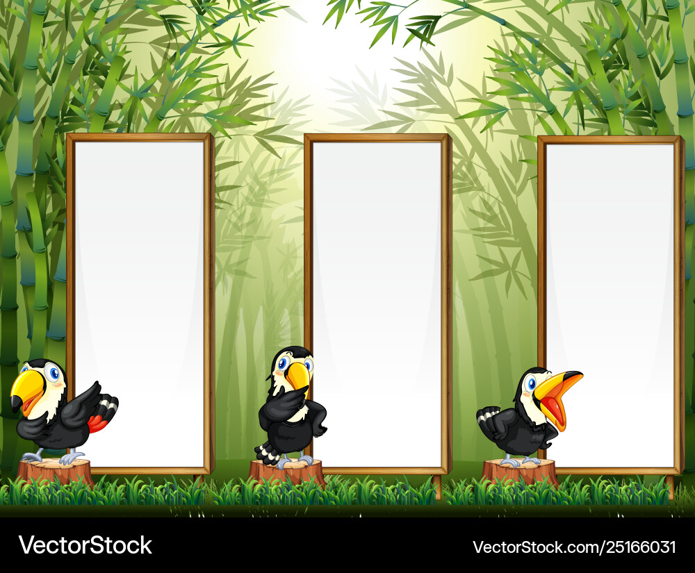 Toucan with border jungle background Toucan with border jungle background vector image