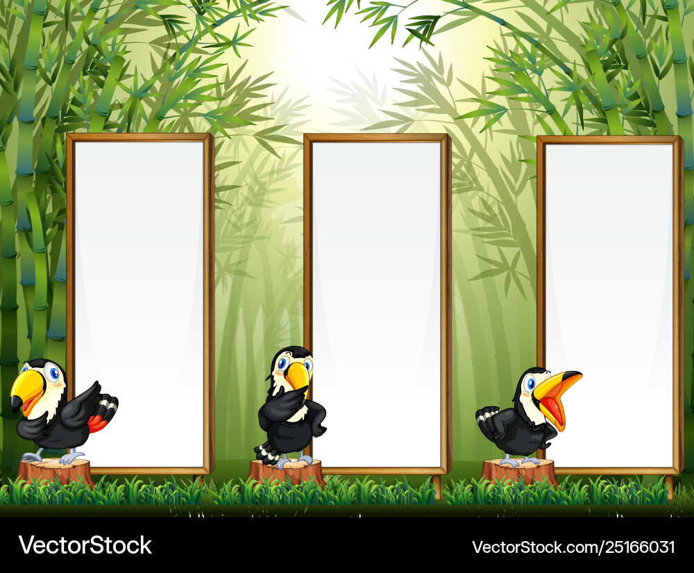 Toucan with border jungle background vector image