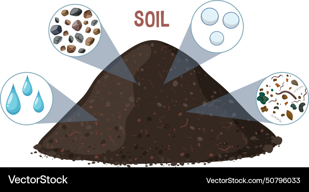Showing various components of soil Showing various components of soil vector image