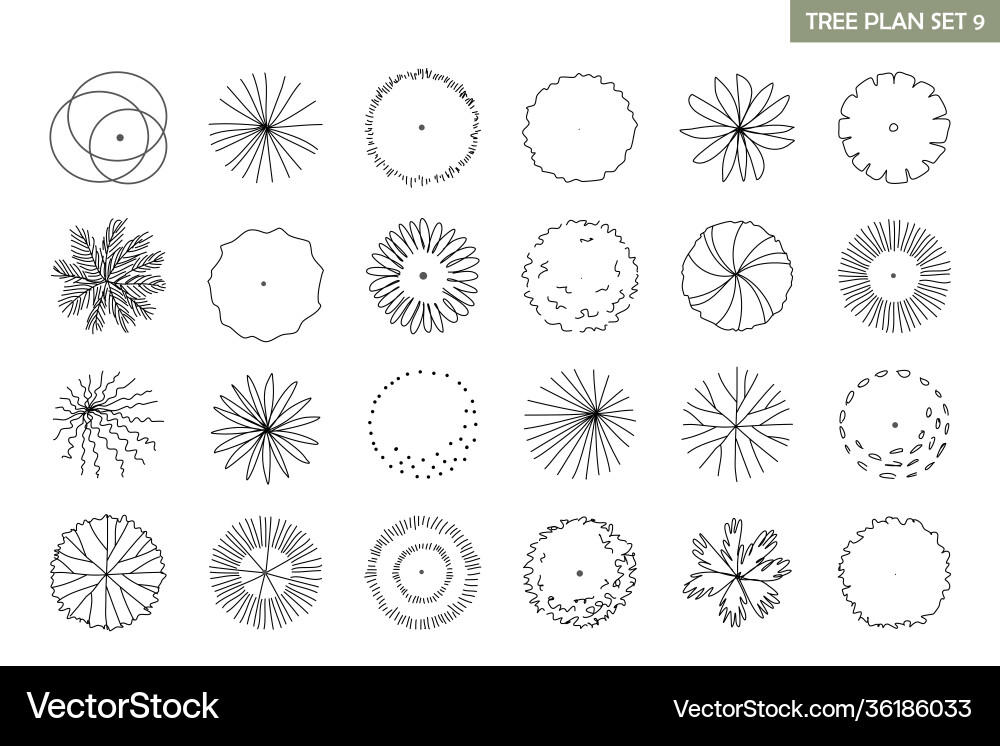 Tree Top View Sketch Set vector image