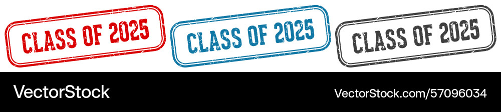 Class of 2025 stamp rectangular Vector Image
