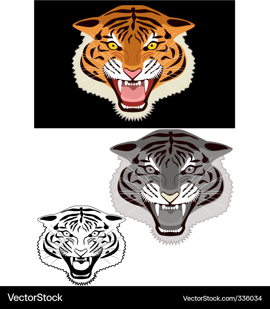 Majestic Tiger Head vector image