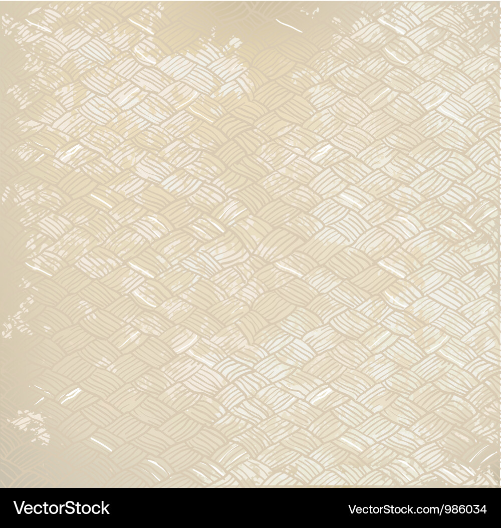 Netting background vector image