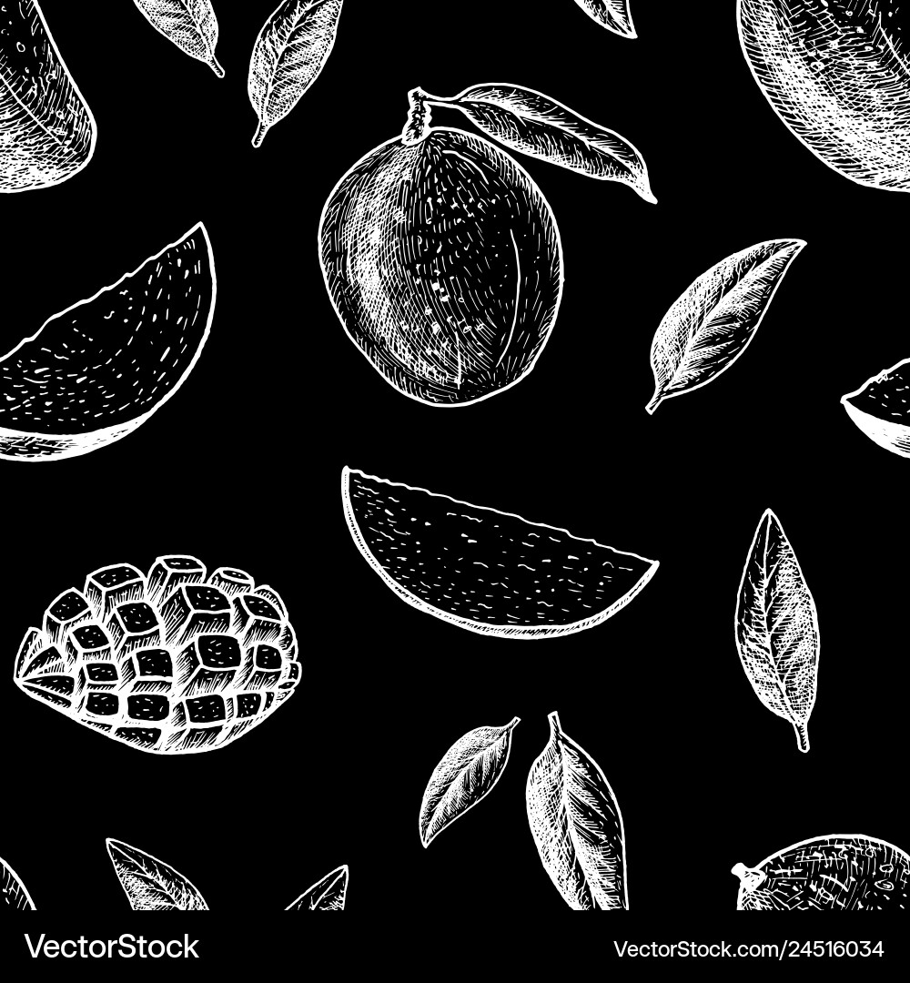 Seamless pattern with mango line drawing vector image