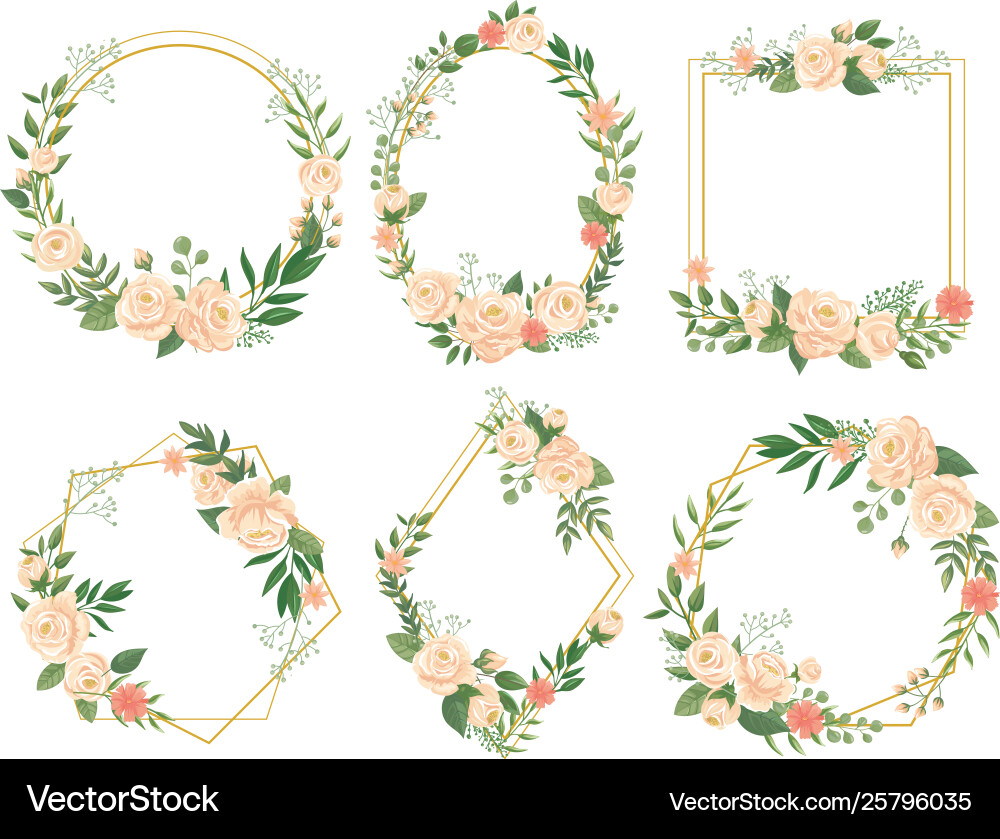 Floral Frame & Border Set vector image