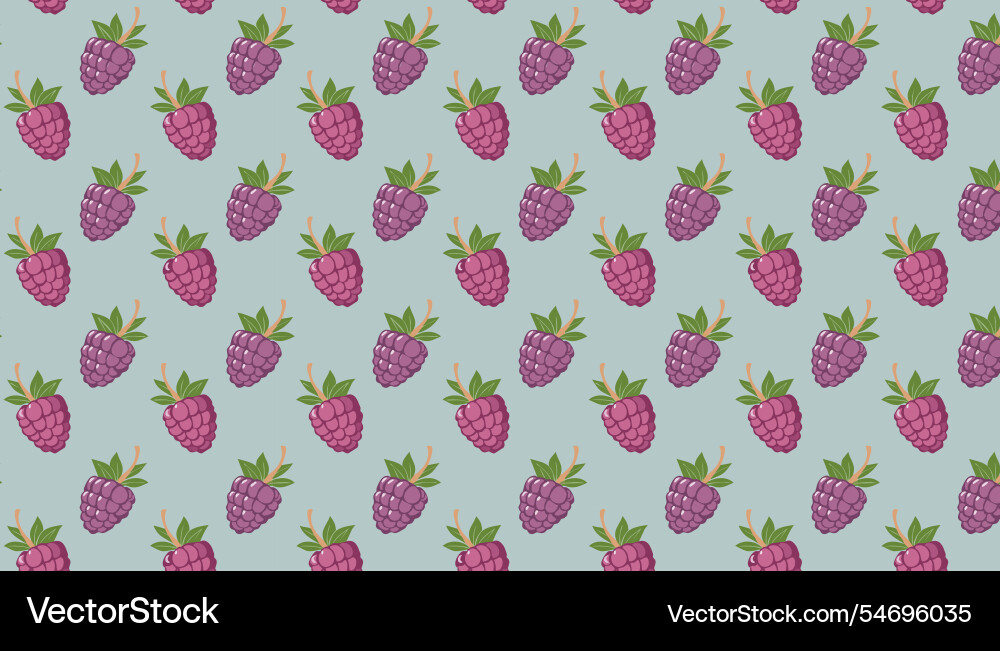 Raspberry seamless pattern isolated background Raspberry seamless pattern isolated background vector image