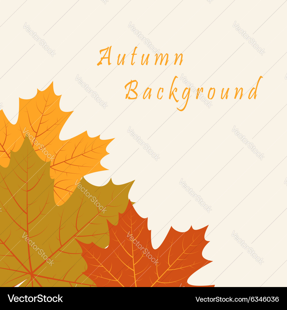 Abstract background with autumn maple leaves Vector Image